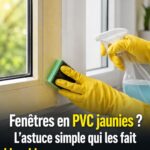 La digitaire : une plante ordinaire du jardin qui présente des avantages inattendus pour la santé