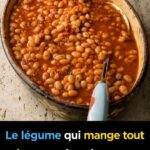 Utilisez ceci à la place de la terre : vos orchidées n’ont jamais été aussi luxuriantes