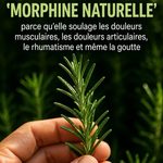 Papier bulle dans le frigo : ces astuces simples pourraient améliorer son utilisation au quotidien