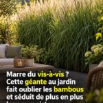 Que signifie voir un chiffon blanc suspendu à la fenêtre d’une voiture sur la route ?