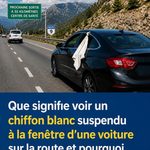 Papier bulle dans le frigo : ces astuces simples pourraient améliorer son utilisation au quotidien