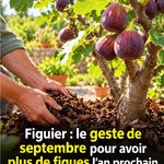 Ce que votre réflexe face à cette illusion d’optique dévoile sur vous
