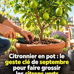 Le secret d’une congélation parfaite que beaucoup ignorent 🥩❄️