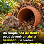 Pommes et flocons d’avoine au four avec noix et canneberges