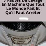 Insectes dans le placard : comment les reconnaître, les éliminer et les tenir éloignés pour de bon