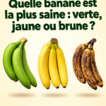 Origan : les vertus surprenantes de cette herbe aromatique pour votre santé