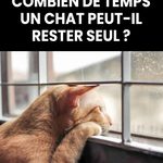 Que signifie ce geste de la main ? Découvrez les interprétations possibles de ce signe mystérieux