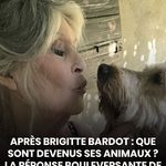 Hygiène après 65 ans : inutile de se doucher tous les jours, ni même toutes les semaines ? Voici la fréquence idéale pour rester en bonne santé