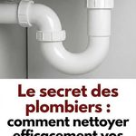 La plupart des gens ne savent pas à quoi sert le petit panneau sur le pare-chocs de leur voiture !