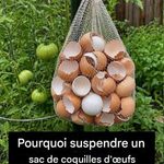Pourquoi de plus en plus de personnes placent une pince à linge sur leur pommeau de douche : l’astuce qui intrigue tout le monde !
