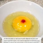 Ne jetez plus vos capsules de lessive vides : 10 astuces ingénieuses pour les réutiliser à la maison
