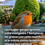 Comment garder votre fromage frais sans moisissure : l’astuce méconnue